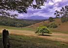 Scenic-Pasture Tree-Boone copyBlurs 6x10P